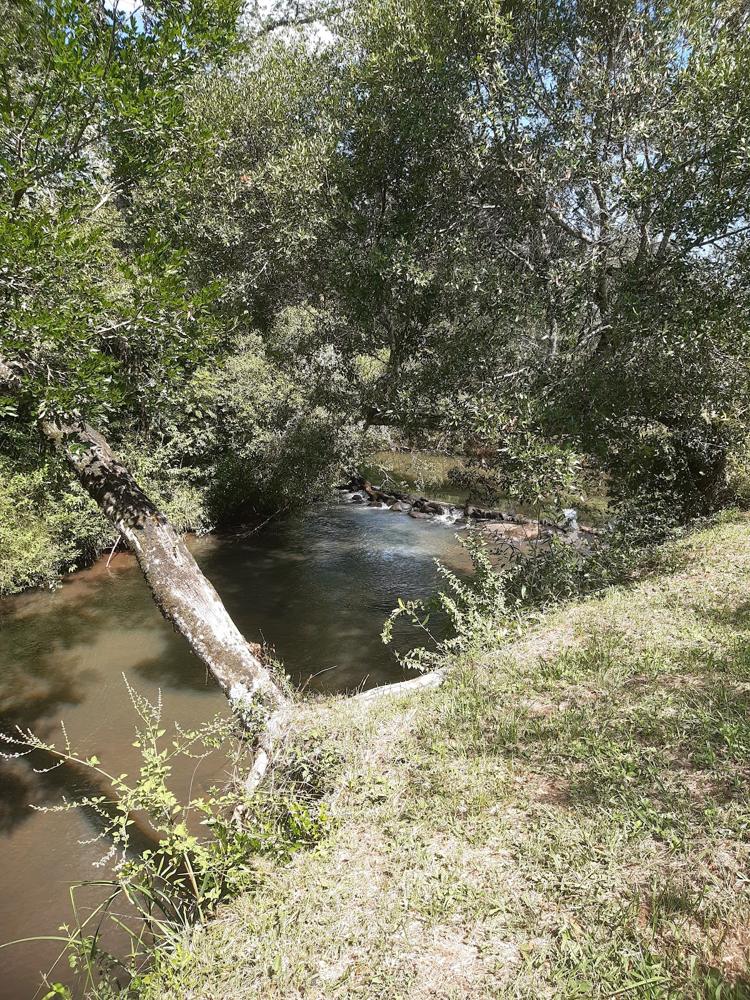 Camping Azcona