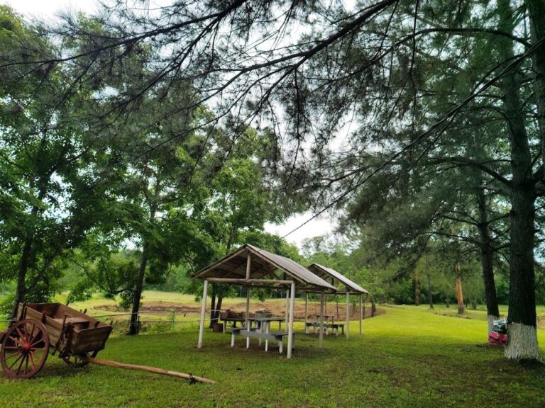 Camping El Ruso