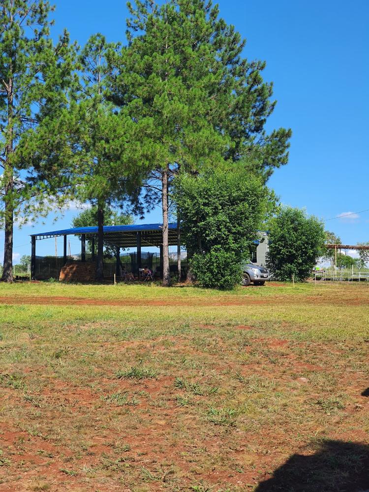 Camping Paszniuk