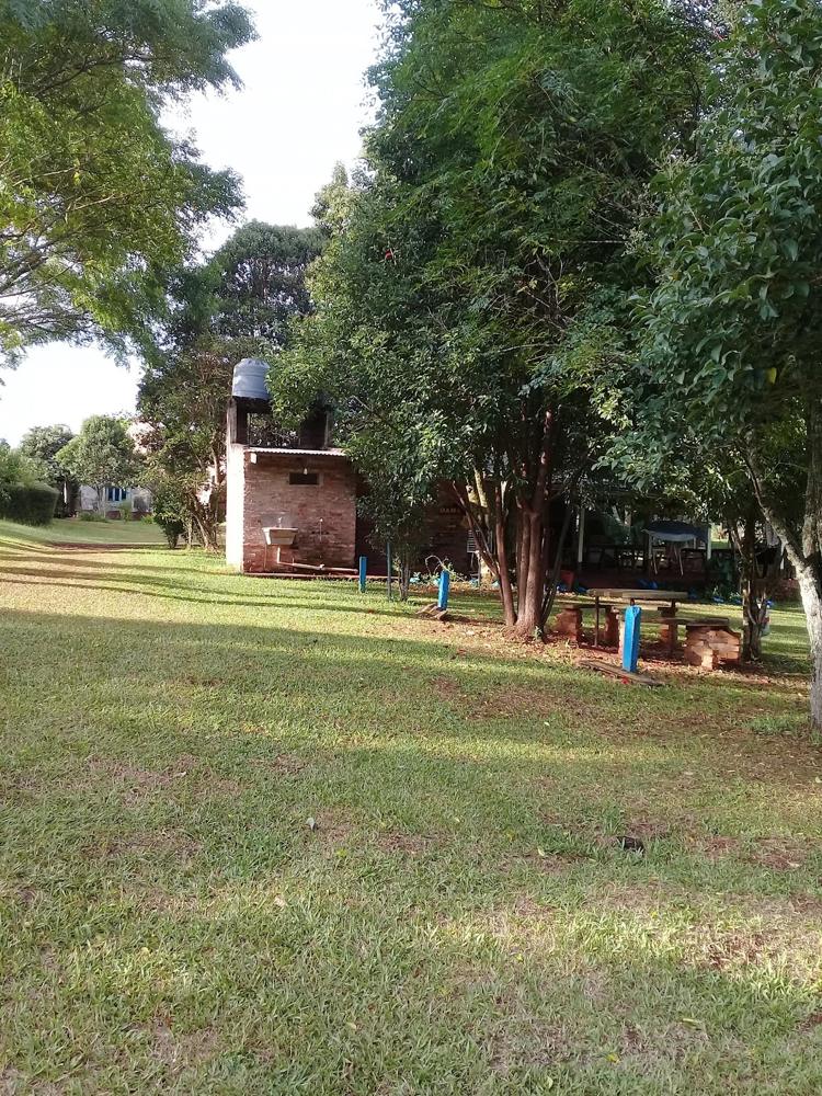 Campo Viera