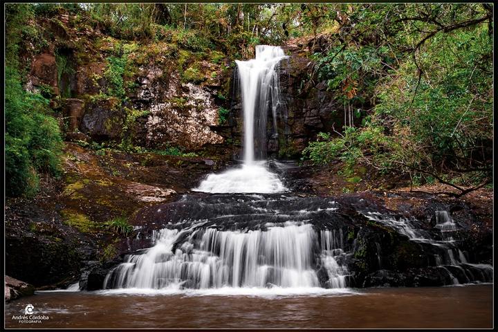 Salto Oasis