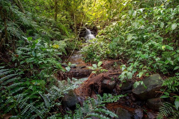 Parque Natural Municipal Monte Seguin