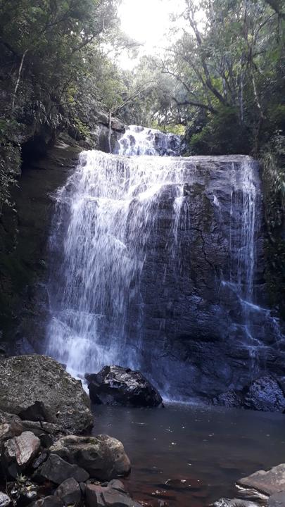 Salto Laschuk
